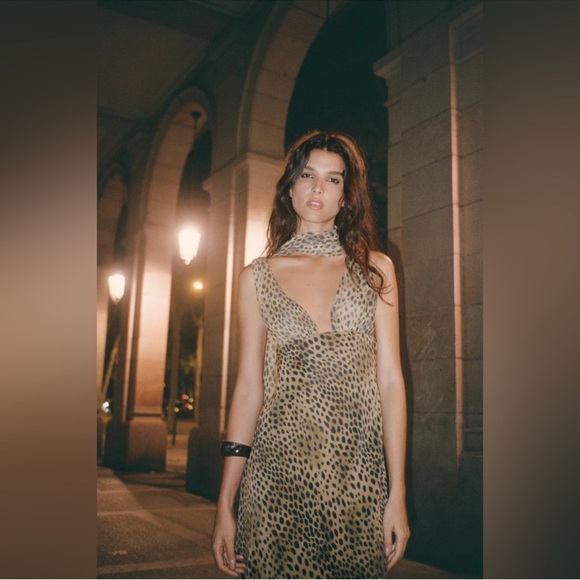 Zara Leopard-Print Maxi Slip Dress in Tan and Black - Picture 7 of 7